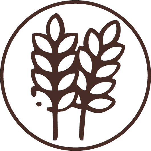 100% Durum Wheat Semolina