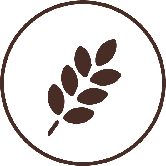 Source of Dietary Fibres