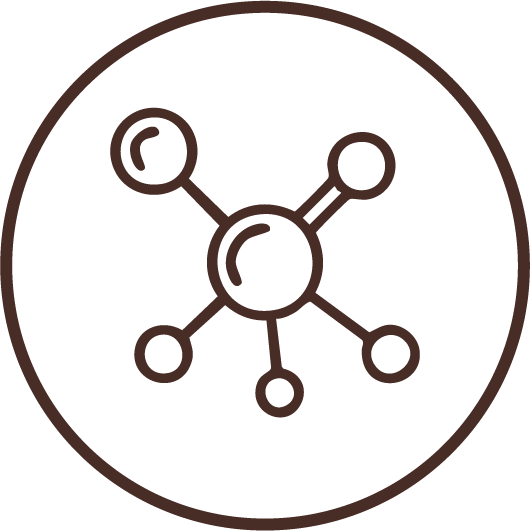 Rich in Antioxidants